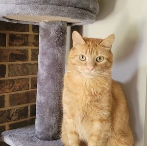 Meet your Posher, Tom